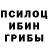 Галлюциногенные грибы Magic Shrooms VeTeR_Wind GGWP