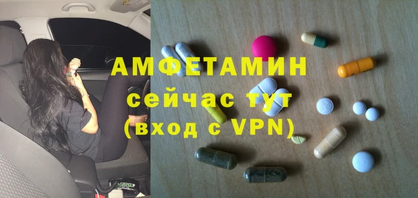 ешки Снежногорск