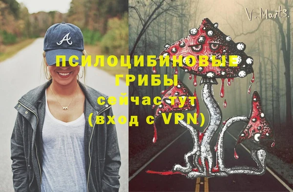 ешки Снежногорск