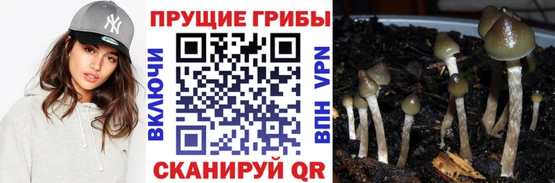 Псилоцибиновые грибы мухоморы  купить   Соликамск 
