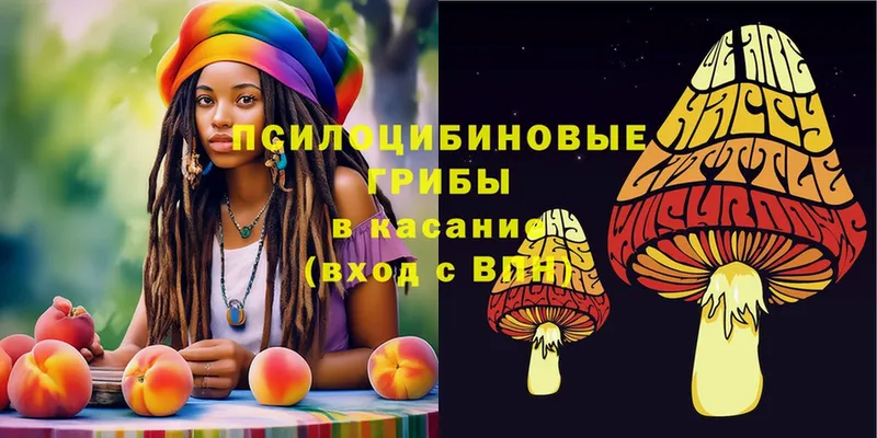 blacksprut маркетплейс  Соликамск  Псилоцибиновые грибы Psilocybe 