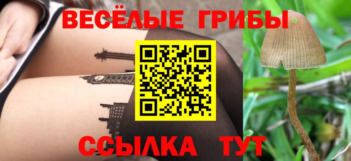 дарнет шоп  Псилоцибиновые грибы мухоморы  Псилоцибиновые грибы Magic Shrooms  Вход с VPN  Соликамск 